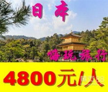 西安金桥国际旅行社 古都旅游的卓越向导与桥梁