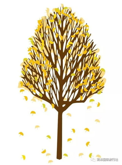 穿越古都风情，品味秦风唐韵——中国国际旅行社菏泽分社西安精品旅游线路推荐